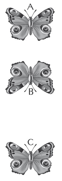 Научные задачи и развлечения - i_008.jpg