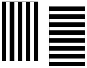 Научные фокусы и загадки - i_008.jpg