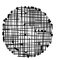 Научные фокусы и загадки - i_011.jpg