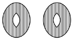 Научные фокусы и загадки - i_027.jpg