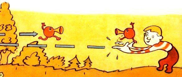 Радуга - pic_18.jpg