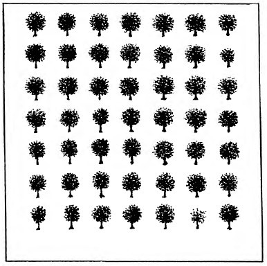 Фокусы и игры - i_040.jpg