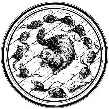 Фокусы и игры - i_041.jpg