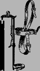 Чудо нашего века - _40_str53_1.png