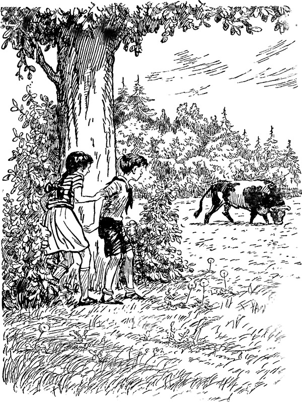 Райкины пленники<br />(сборник рассказов) - i_011.jpg