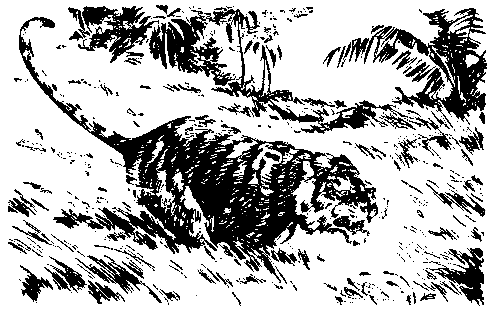 Борьба за огонь. Пещерный лев (с илл.) - pic_10.png