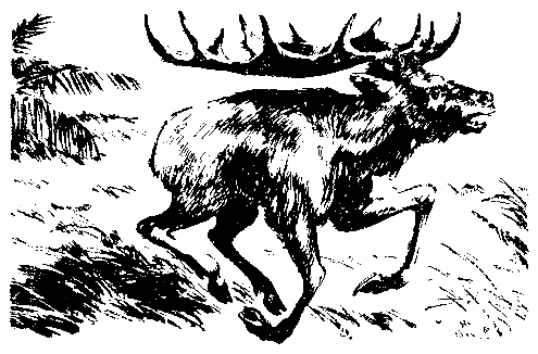 Борьба за огонь. Пещерный лев (с илл.) - pic_11.png