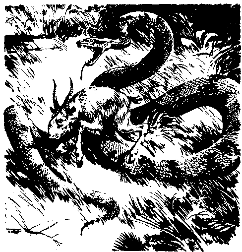 Борьба за огонь. Пещерный лев (с илл.) - pic_39.png