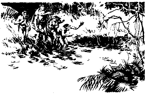 Борьба за огонь. Пещерный лев (с илл.) - pic_48.png