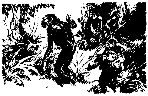 Борьба за огонь. Пещерный лев (с илл.) - pic_49.png