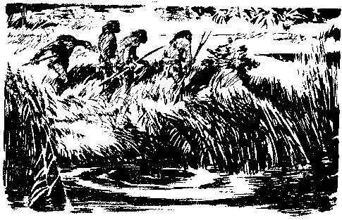 Борьба за огонь. Пещерный лев (с илл.) - pic_53.png