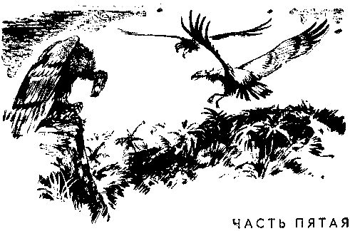 Борьба за огонь. Пещерный лев (с илл.) - pic_57.png