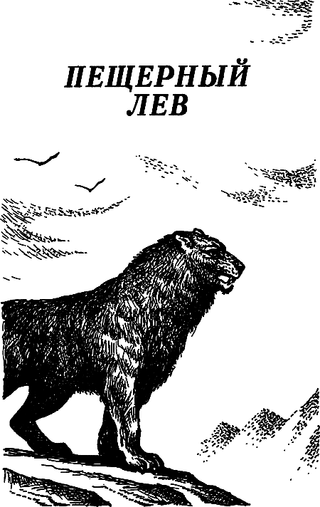 Пещерный лев (Сборник) - i_002.png