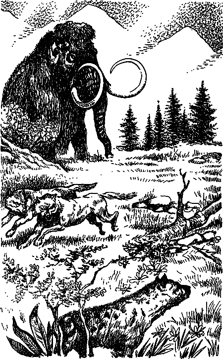 Пещерный лев (Сборник) - i_081.png