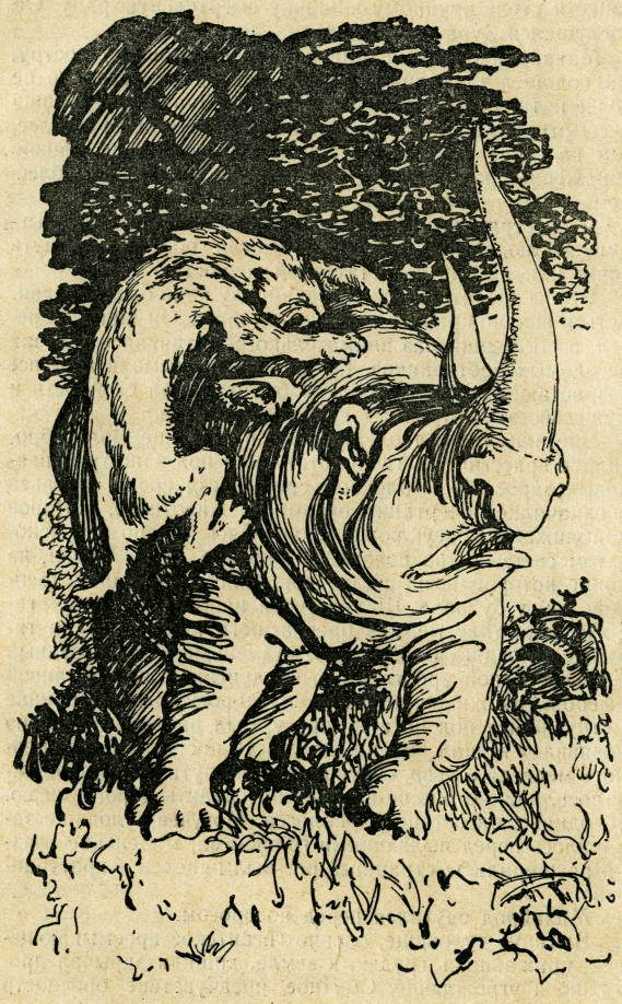 Пещерный лев (с иллюстрациями) - pic_4.jpg