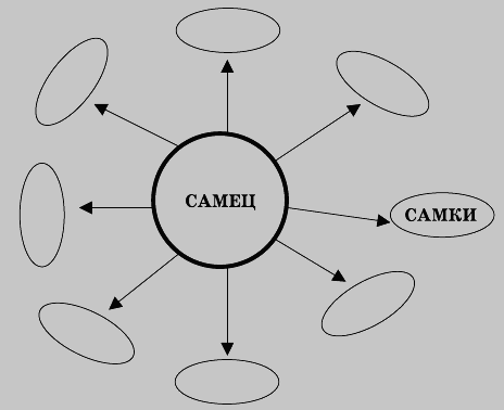 ЖЖизнь без трусов - i_003.png