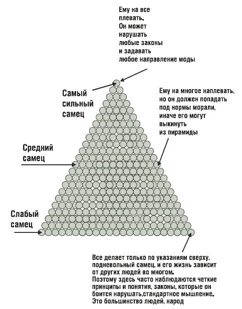 ЖЖизнь без трусов. Мастерство соблазнения. Жесть как она есть - i_002.png