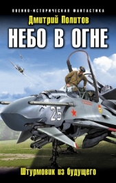 Небо в огне. Штурмовик из будущего - автор Политов Дмитрий Валерьевич 