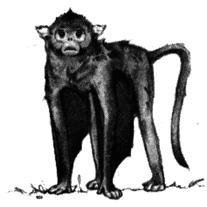 Драконы Обыкновенной фермы - i_005.png