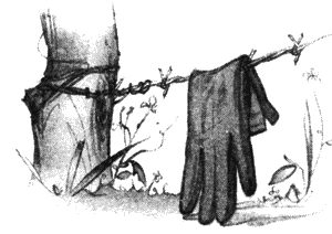 Драконы Обыкновенной фермы - i_028.png