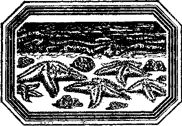 Чозения - i_002.png