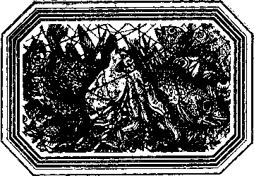 Чозения - i_004.png