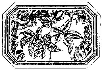 Чозения - i_013.png