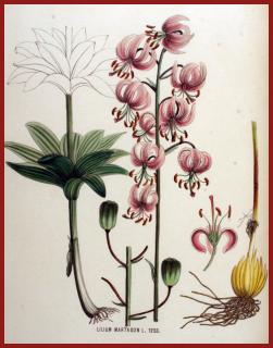 Что приносит тьма (ЛП) - _231.jpg