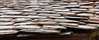 Что приносит тьма (ЛП) - _582.jpg