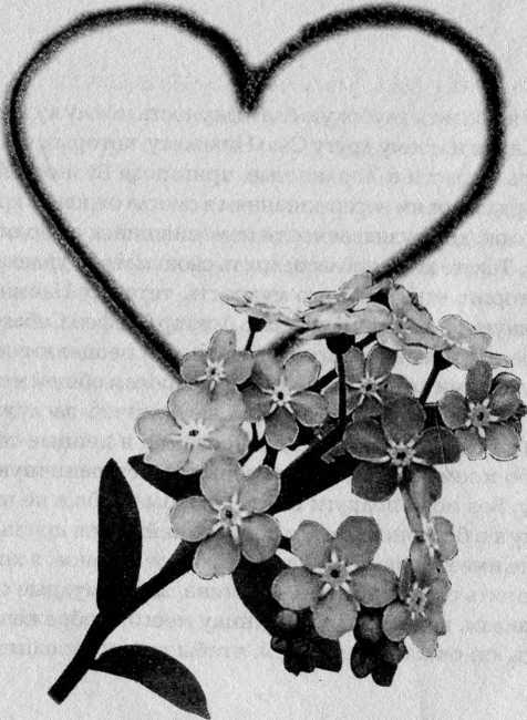 Соната незабудки - i_001.jpg