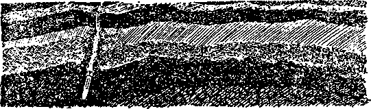 Победители недр - pic_8.png