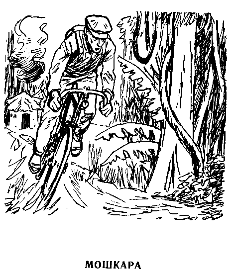 Всадники ниоткуда (илл. Б.Лебедева) - pic_17.png