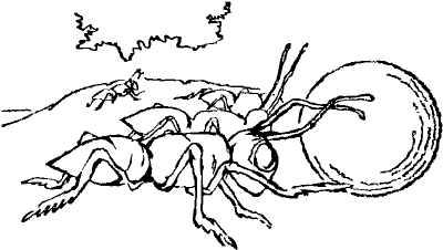 Мир приключений. 1973 г. выпуск 2 - doc2fb_image_03000007.png