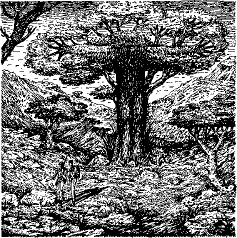 «На суше и на море» - 71. Фантастика - Untitled17.png