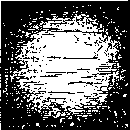 «На суше и на море» - 71. Фантастика - Untitled18.png