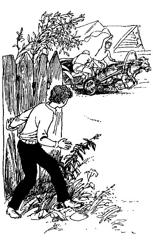 Стена (Фантастические повести) - pic_31.png