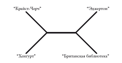 Рассказ предка. Паломничество к истокам жизни - i_015.png