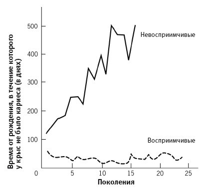 Самое грандиозное шоу на Земле: доказательства эволюции - i_010.jpg