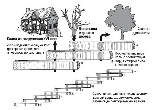 Самое грандиозное шоу на Земле: доказательства эволюции - i_012.jpg