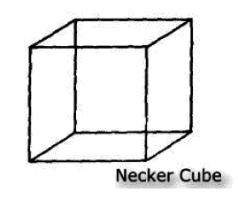 Эгоистичный ген - Necker_cub.png