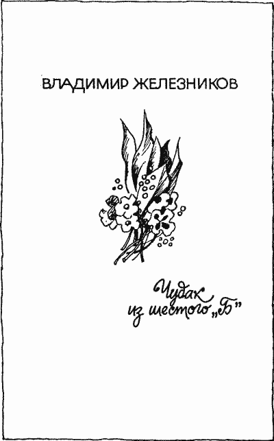 Чудак из шестого «Б» - Any2FbImgLoader0