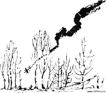 Василий Тёркин - i_026.jpg