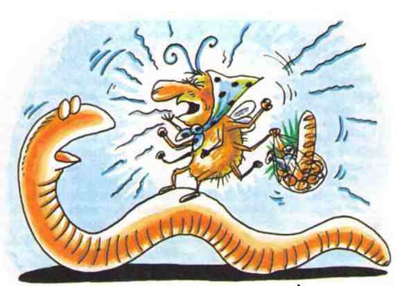 Остров Эскадо - i_065.jpg