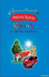 Круиз по лишним проблемам - автор Андреева Валентина Алексеевна 