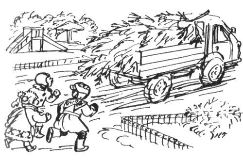 Избранное. Повести и рассказы - i_026.png