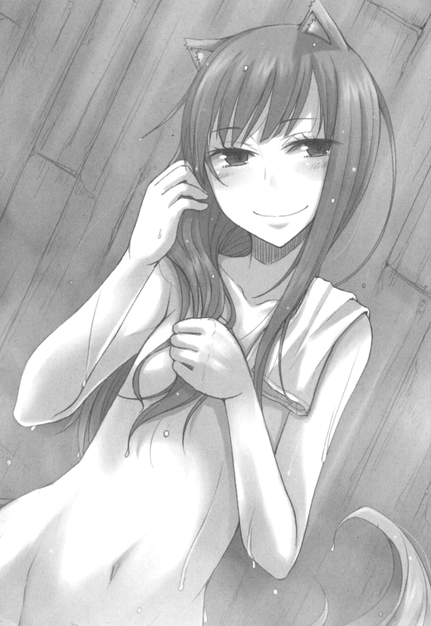 Волчица и пряности. Том 14 - doc2fb_image_0200000E.jpg