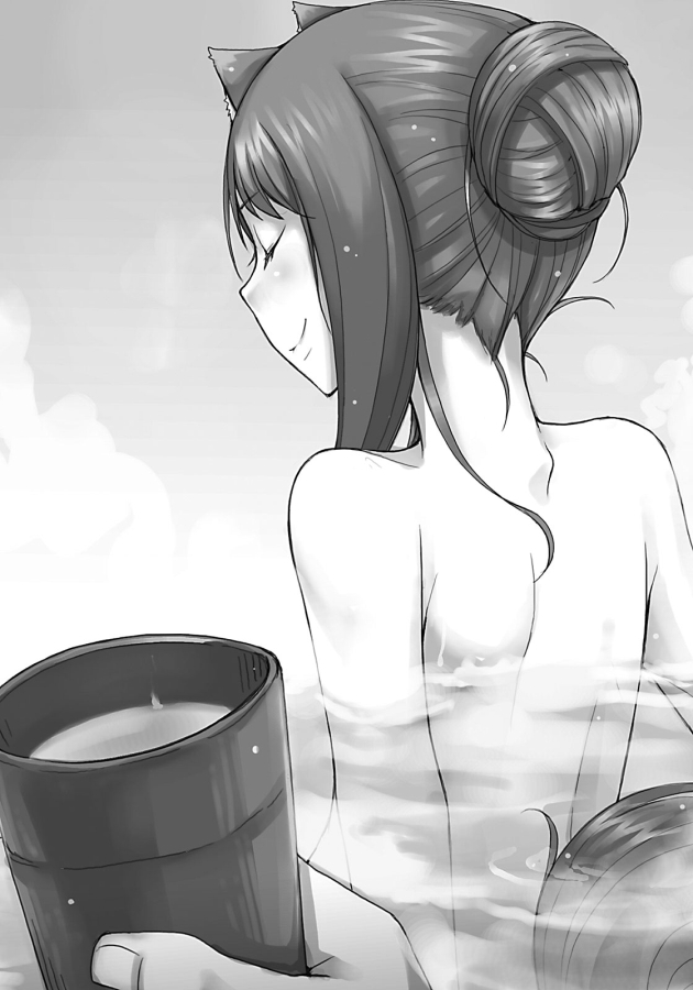 Волчица и пряности. Том 17 (ЛП) - doc2fb_image_0200000C.jpg