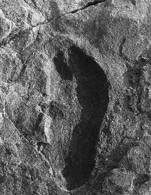 100 великих загадок Африки - i_020.jpg