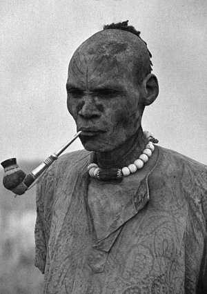 100 великих загадок Африки - i_076.jpg