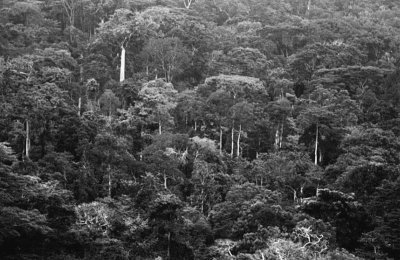 100 великих загадок Африки - i_093.jpg